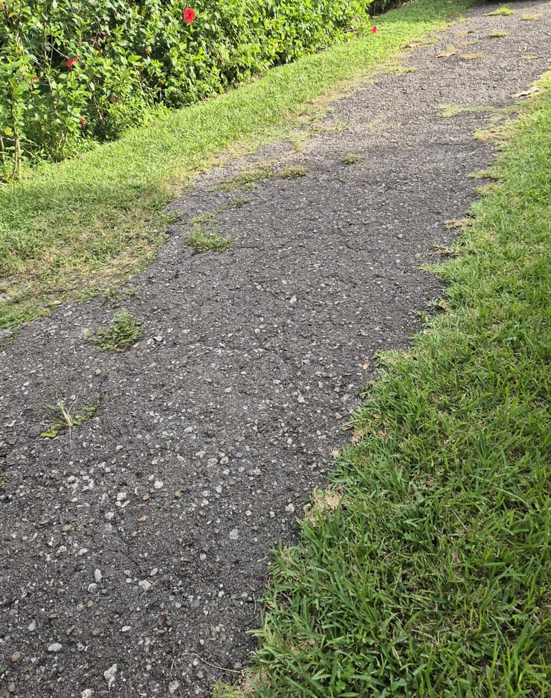 Worn asphalt driveway with exposed stone and grass breaking through the edges